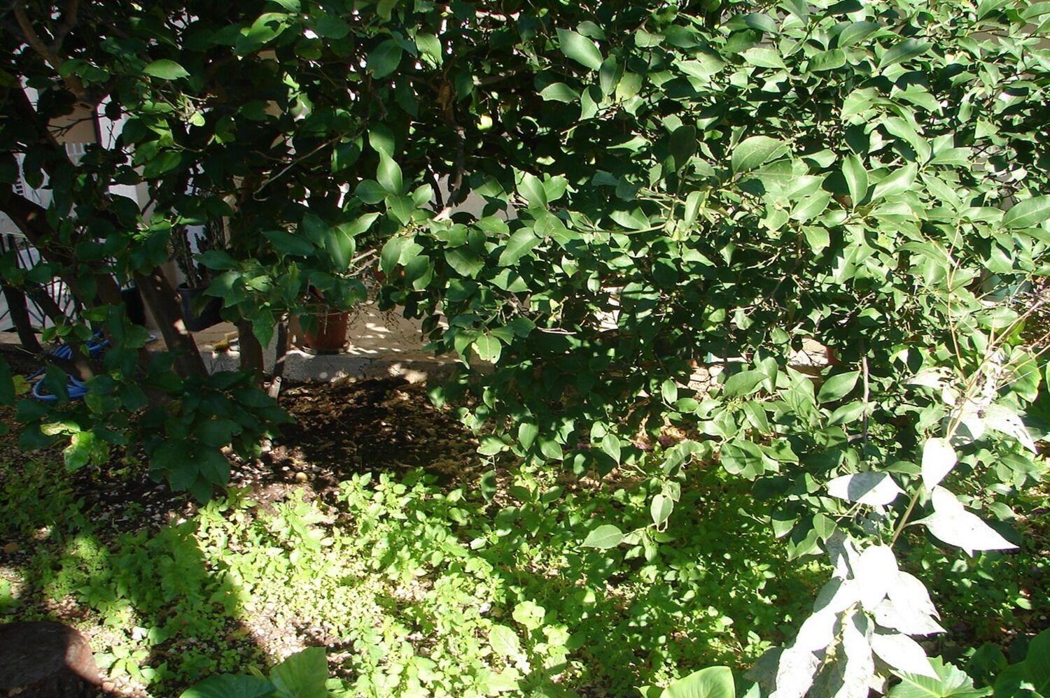 Sini Apartment Makarska